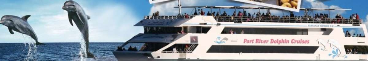Dolphin Explorer Banner