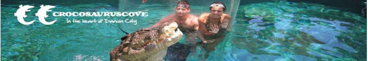 Crocosaurus Cove Banner