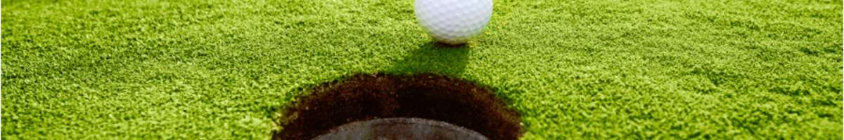 Pitch & Putt Golf Course Banner
