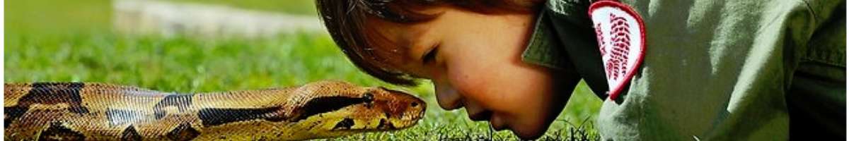 Ballarat Wildlife Park Banner