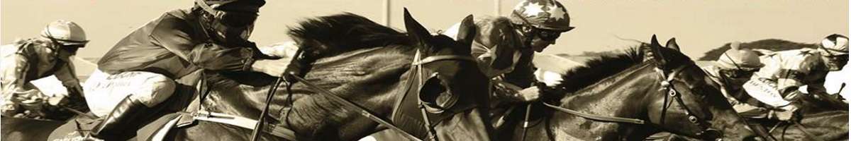 Darwin Turf Club Banner