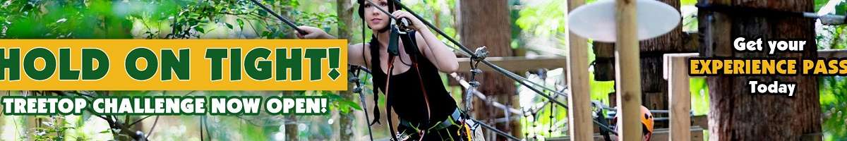 Currumbin Wildlife Sanctuary Banner