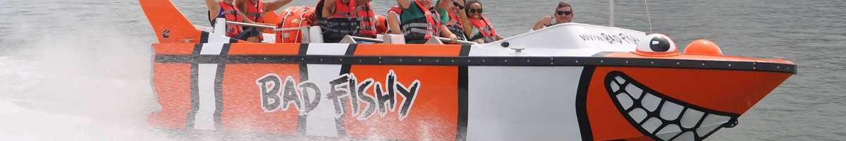 Bad Fishy Jet Boating Banner