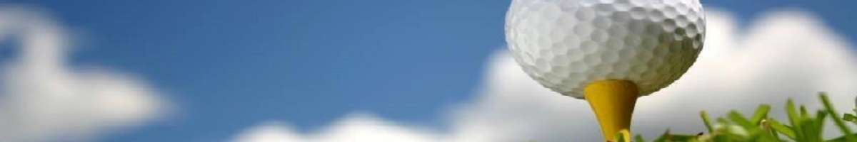 Illawarra Golf Complex Banner