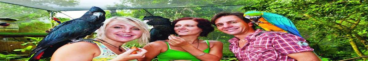 Birdworld Kuranda Banner