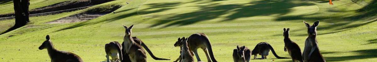 Cardinia Beaconhills Golf Links Banner