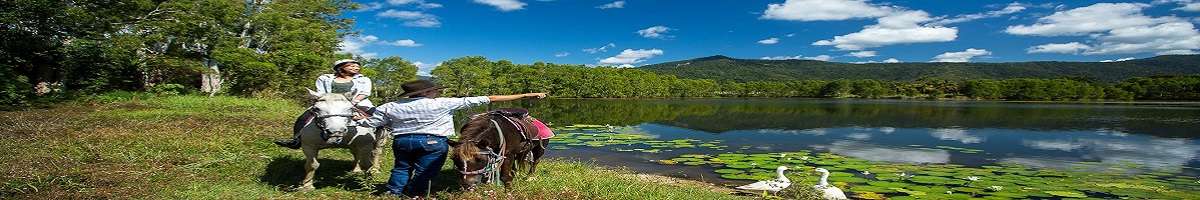 Blazing Saddles Adventures Banner