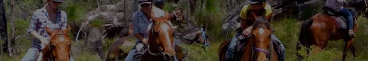Horse Riding Queensland Banner