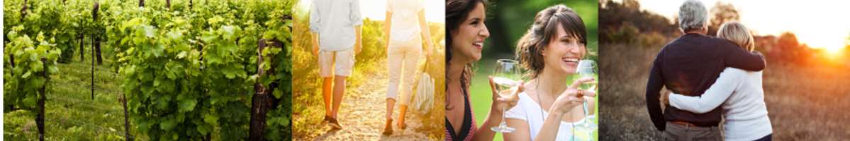 McGuigan Wines Banner