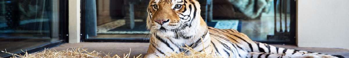 National Zoo and Aquarium Banner
