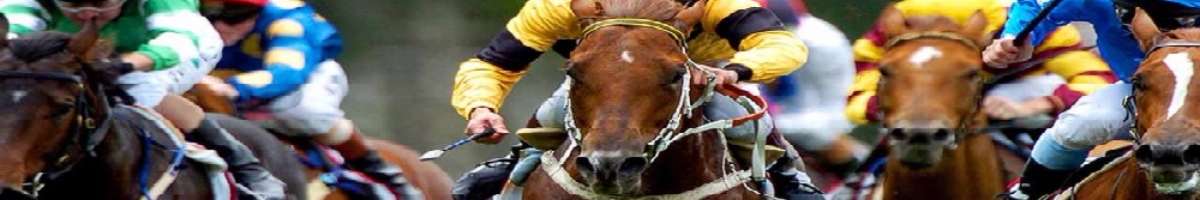Shoalhaven City Turf Club Banner