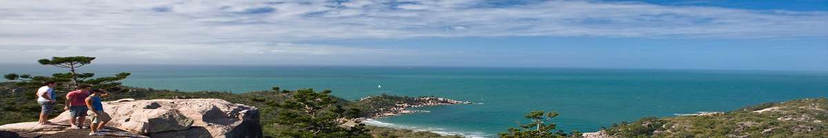 Sealink Queensland Banner