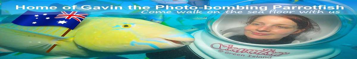 Seawalker Green Island Banner