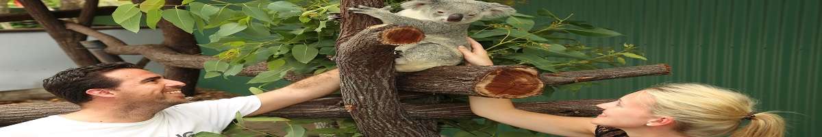 Wildlife Habitat Banner