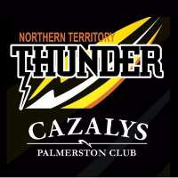 NT Thunder Logo