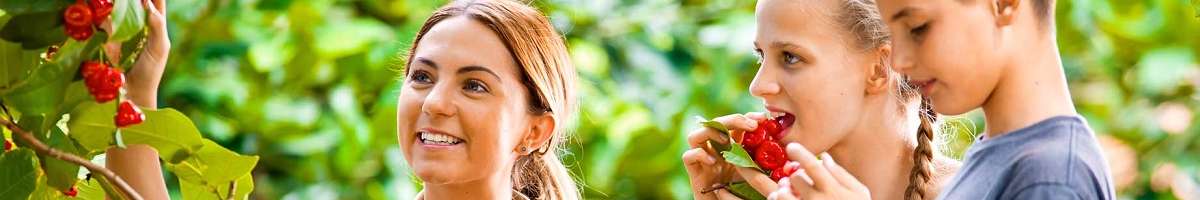 Tropical Fruit World Banner