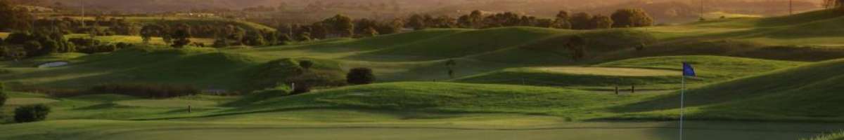 The Links Shell Cove Banner