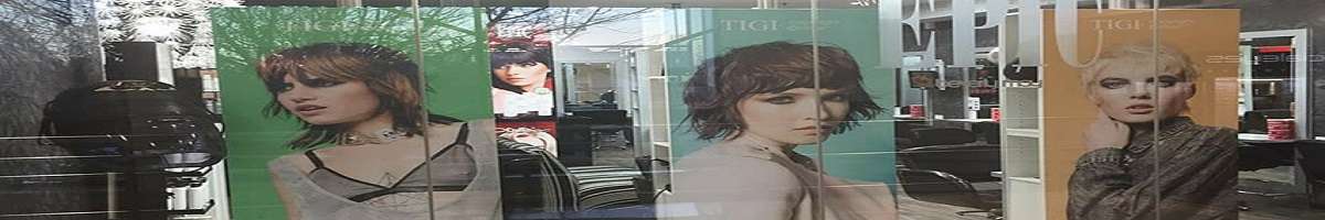 Epic Hair Banner