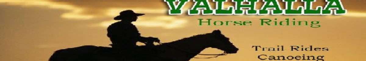 Valhalla Horse Riding Banner