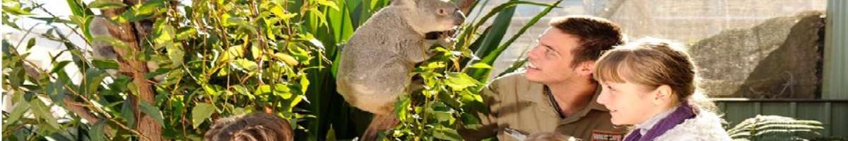 Wild Life Sydney Zoo Banner