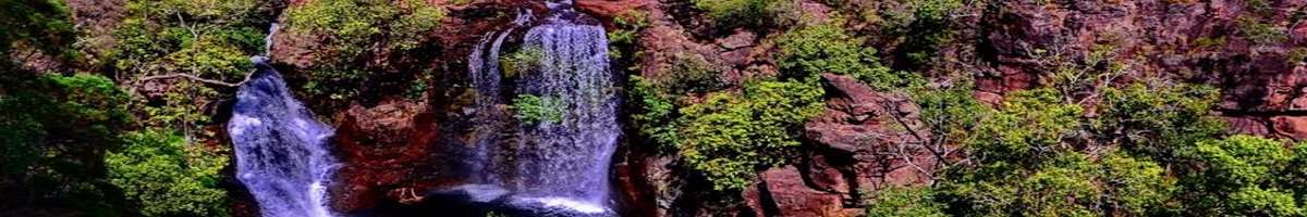 Wallaroo Tours Banner