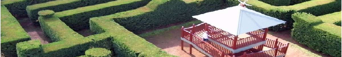 a Maze'n Margaret River Banner