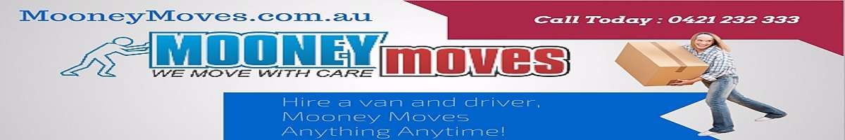 Mooney Moves Banner