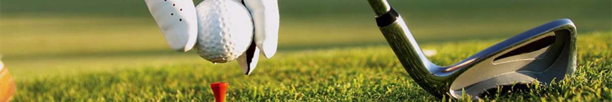 Altone Park Golf Course Banner