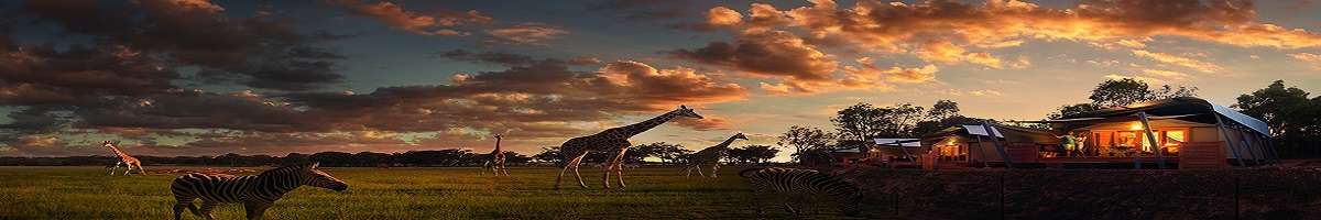 Taronga Western Plains Zoo Banner