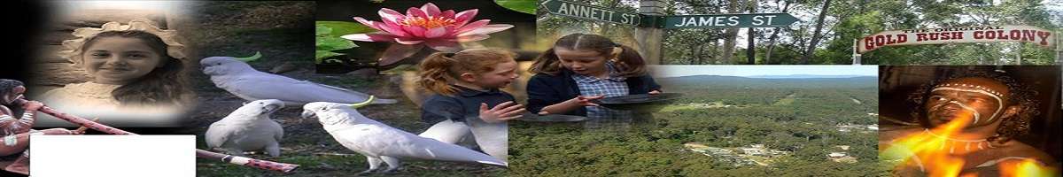 The Original Gold Rush Colony Banner