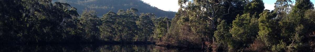 Franklin Eco Cruises Banner