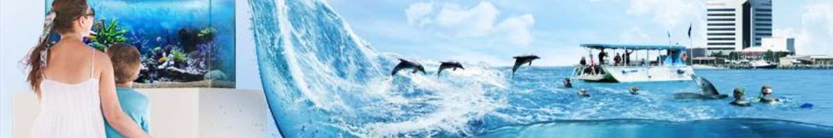 Dolphin Discovery Centre Banner