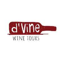 d'Vine Wine Tours Logo