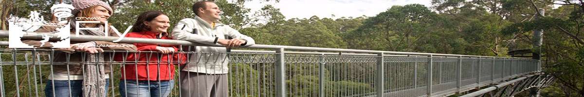 Otway Fly Treetop Adventure Banner