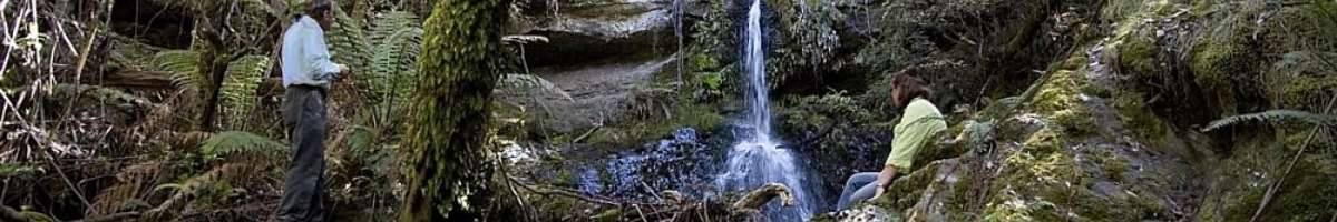 Mole Creek & Chudleigh Banner