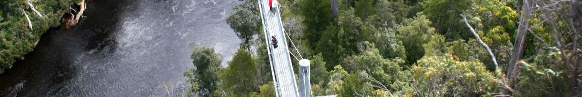 Tahune Airwalk Banner
