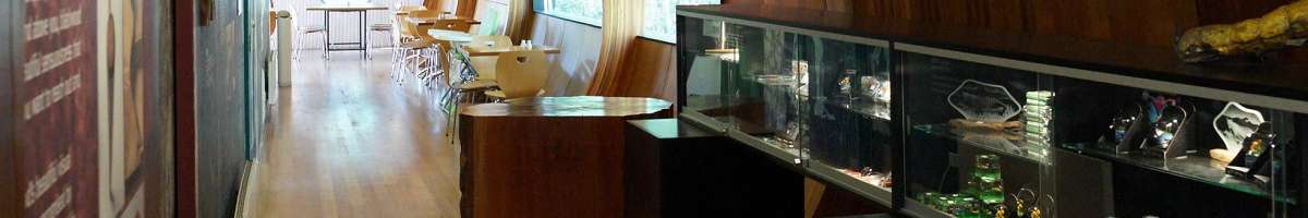 Tarkine Forest Adventures Banner