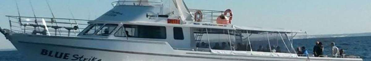 Mills Charters Banner