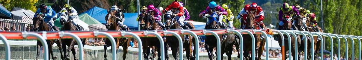 Tasmanian Racing Club Banner