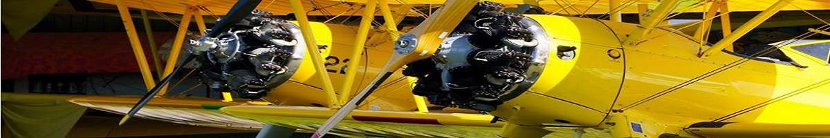 Tiger Moth World Banner