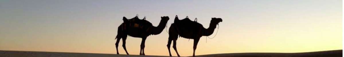 Oakfield Ranch Banner