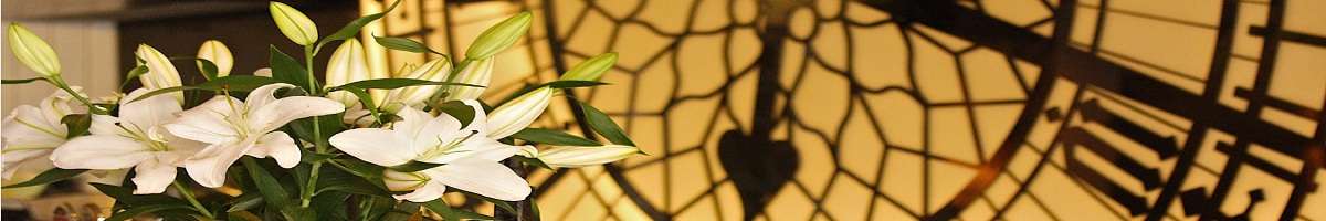 Claire's Kitchen at Le Salon Banner