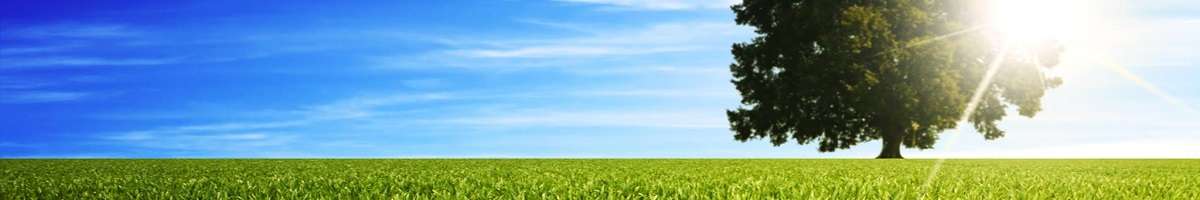 Ark Accounting Banner