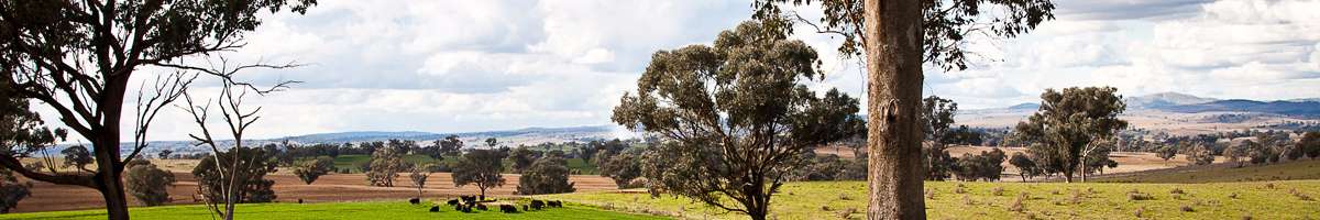Jma Legal Business Lawyers Banner