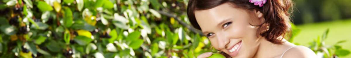 Refresh Dental Banner