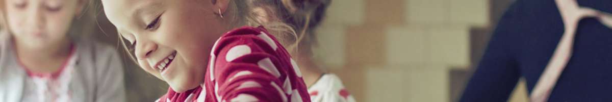 Harris Freidman Lawyers Banner