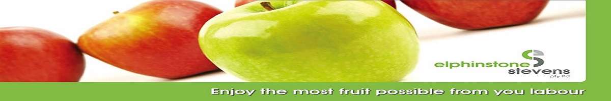 Elphinstone Stevens Pty Ltd Banner