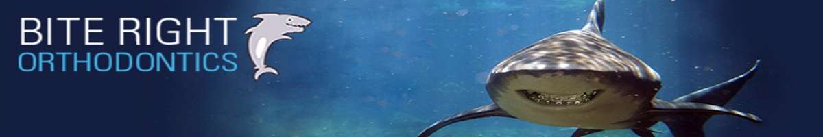 Bite Right Orthodontics Banner