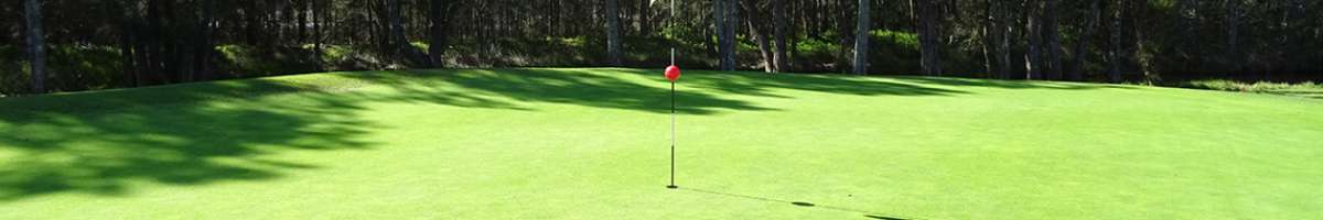 Toukley Golf Club Banner