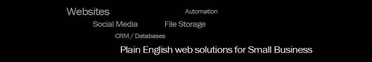 The Web Warriors Banner